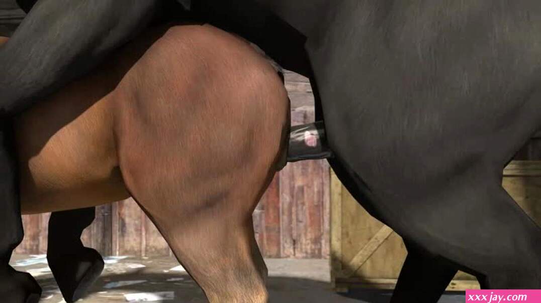 animation owner stable horse sex mare