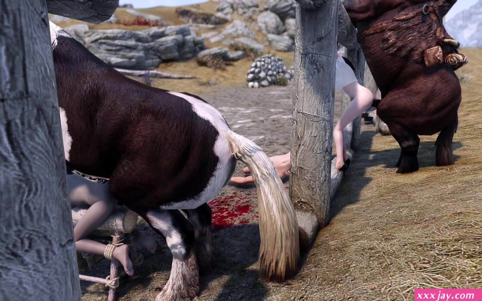 Lucky day for horse rape