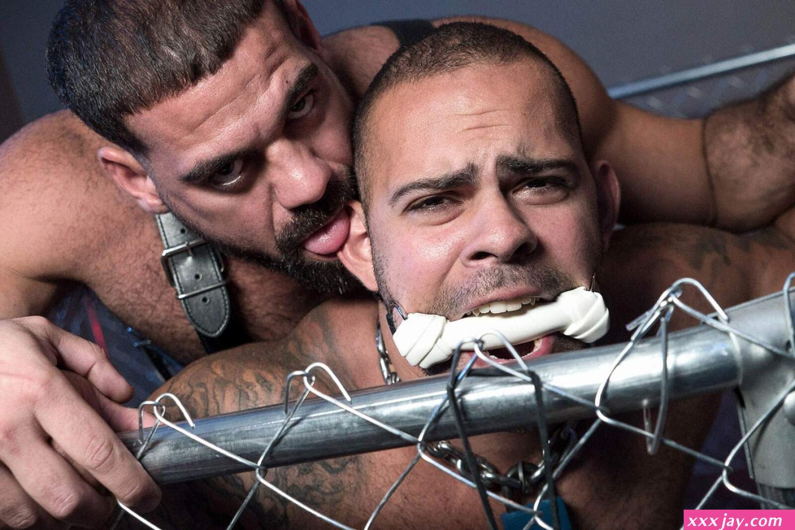 Ricky Larkin Brutally Fucks Lorenzo Flexx