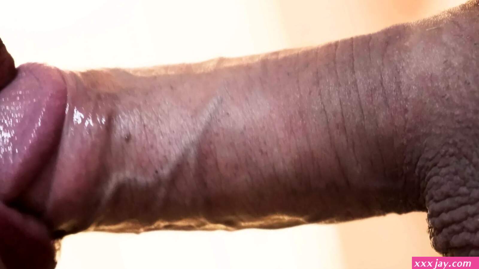 Free Asian Blowjob Compilation UHD 4K 2160p Porn Videos
