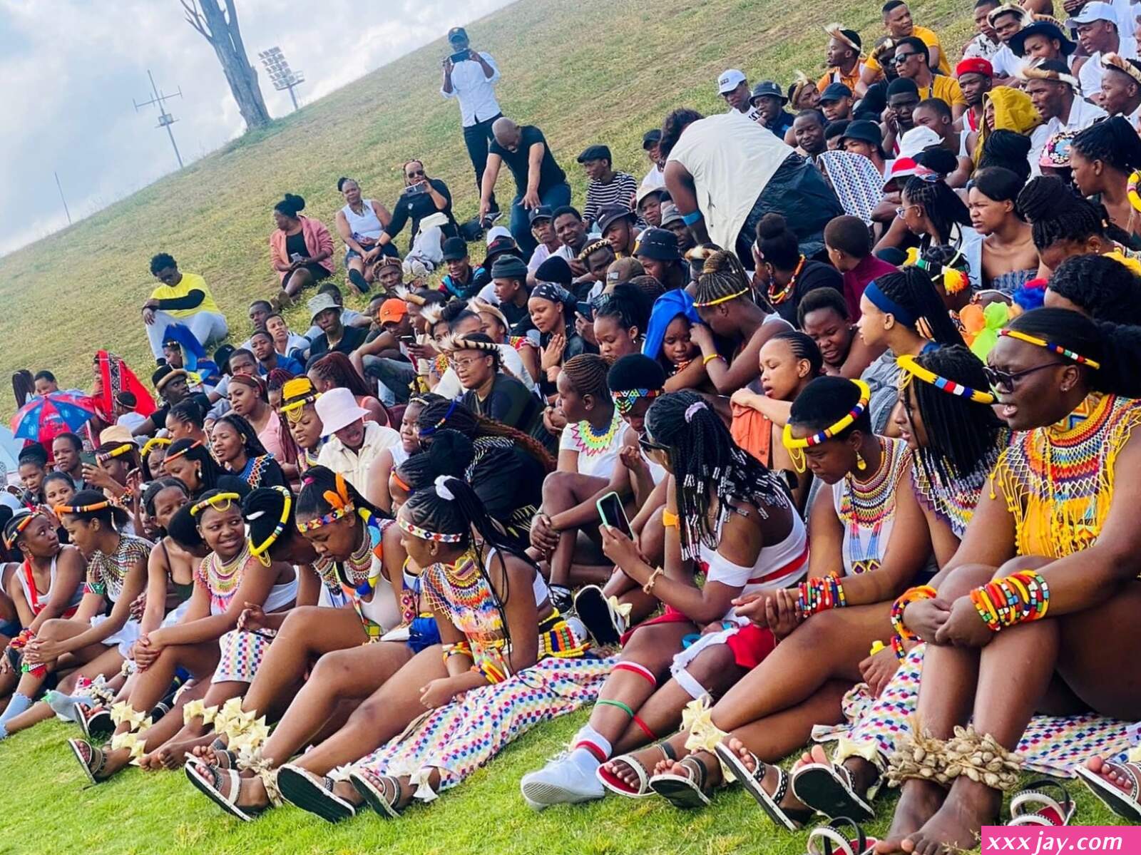 Latest swazi