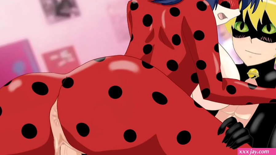 Ladybug X Cat noir