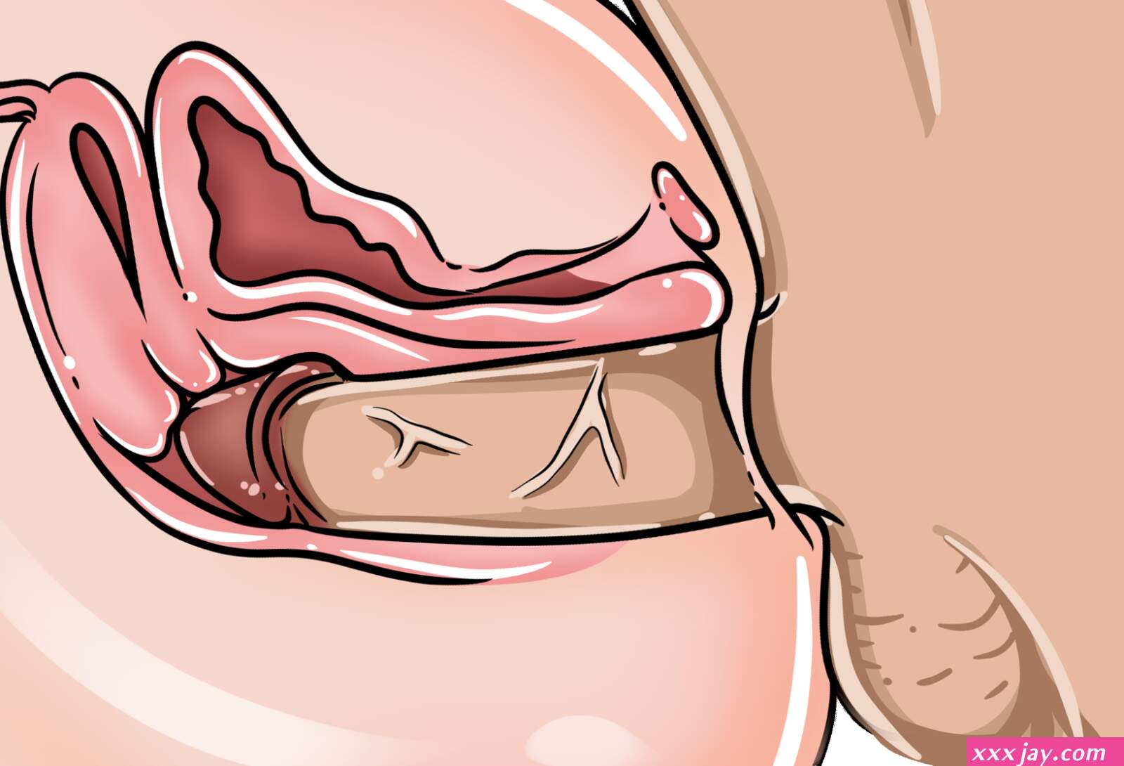 How To Give A Girl An Orgasm The Real Sht Porn Doesnt Teach You