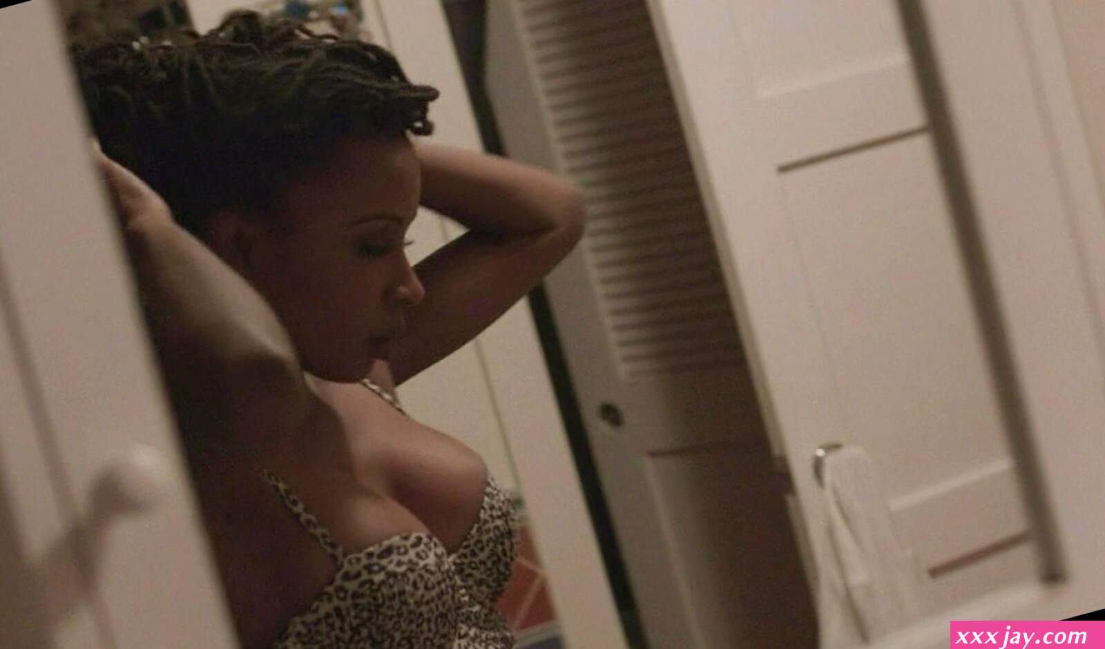 Shanola Hampton nude pics page
