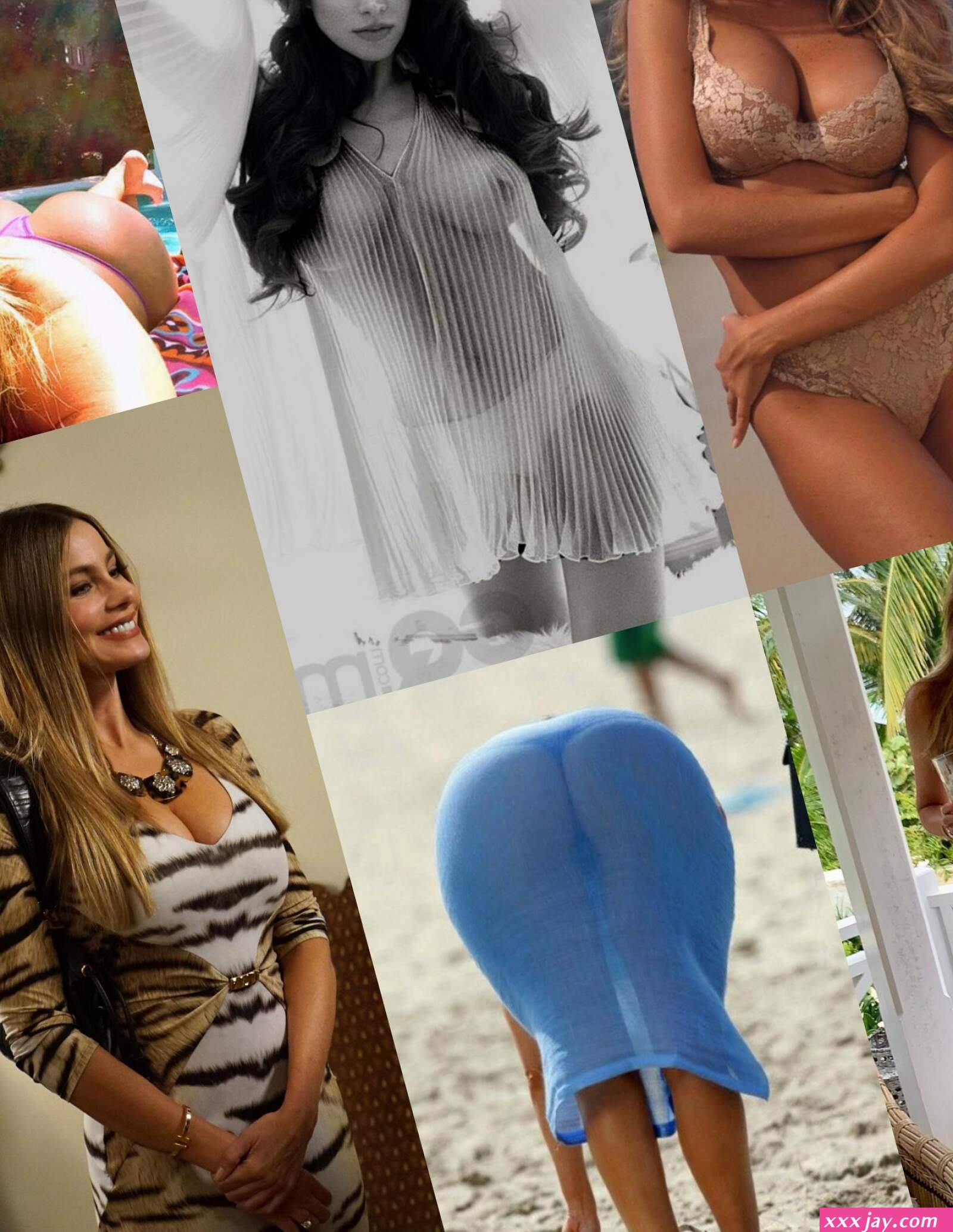 Sofia Vergara