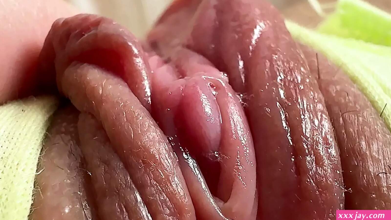 Free Solo Pussy 720p HD Porn Videos