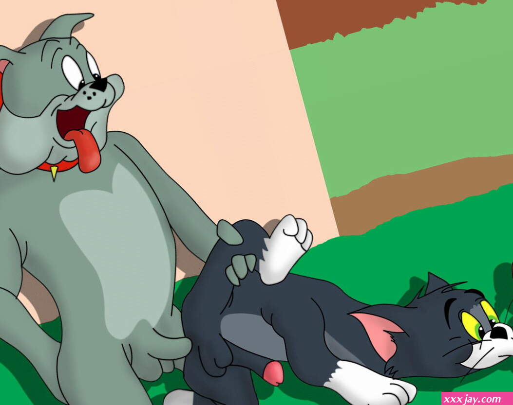Post 29004: JerryMouse SpikeBulldog TomandJerry TomCat