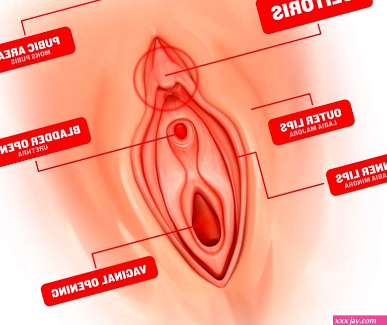 25 Oral Sex Tips: Cunnilingus Positions Techniques From Experts