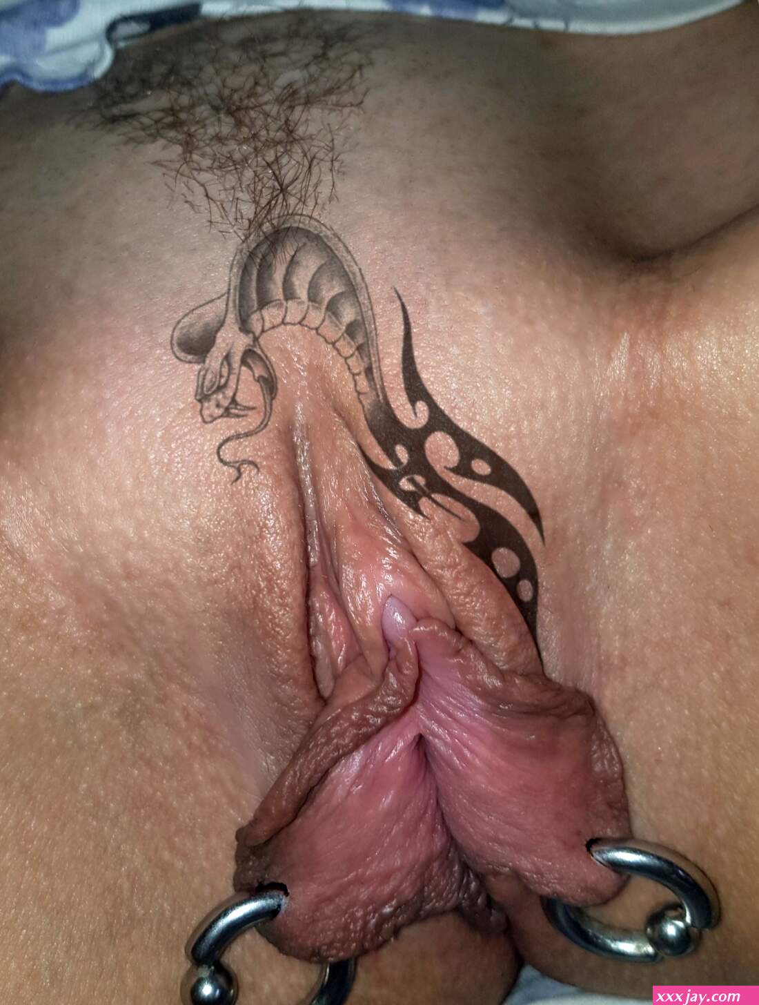 Pussy tattoo Porn Pic