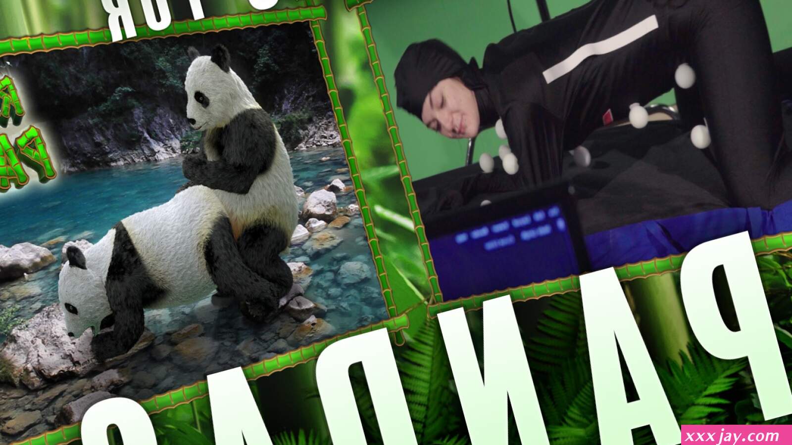Ein Porno für Pandas